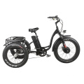 2020 New Model High Power Cargo E-Bike Electric Fat Tire Trike for Delivery